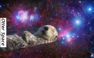 Otter Space (lol)